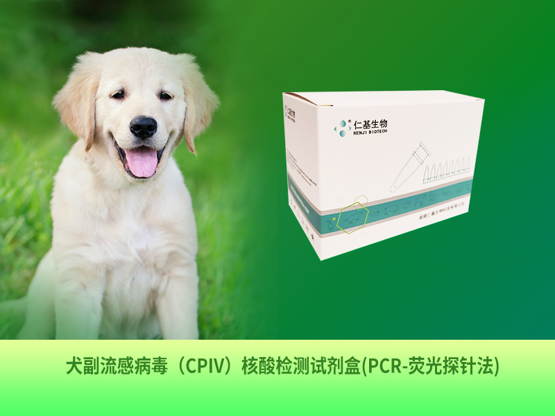 CW-R-001 犬副流感病毒（CPIV）